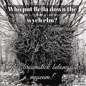 Old Timey Crimey #12: Who Put Bella in the Wych Elm? 