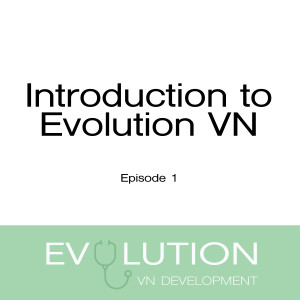 Evo VN Episode 1: An Introduction to Evolution VN