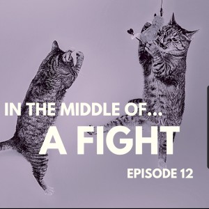 Episode 12: In the middle of...a fight