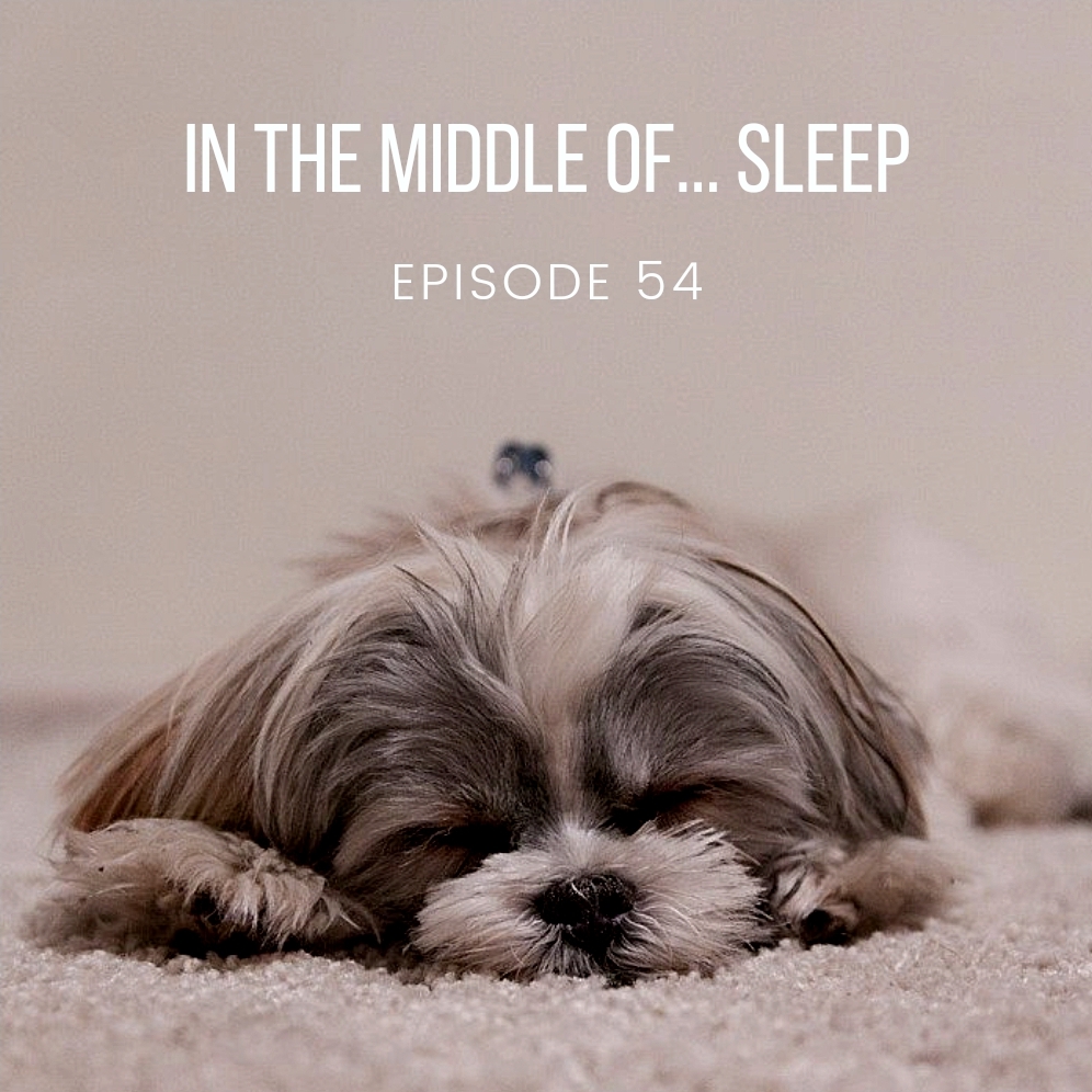 Episode 54: In the middle of…sleep