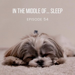 Episode 54: In the middle of...sleep