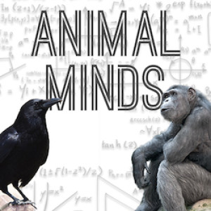 Guide to the Animal Mind