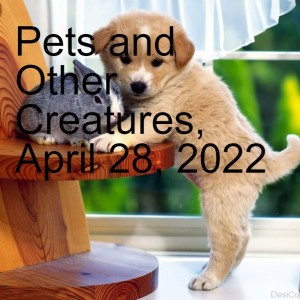 Pets and Other Creatures, April 28, 2022