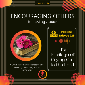 Ep. 229: The Privilege of Crying Out to the Lord