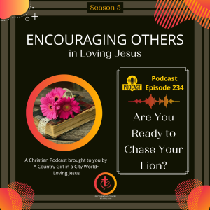 Ep. 234: Are You Ready to Chase Your Lion?