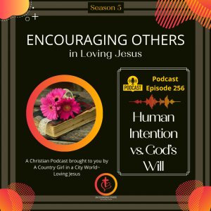 Ep. 256: Human Intention vs. God's Will