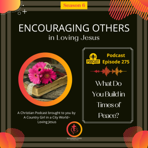 Ep. 275: What Do You Build in Times of Peace?