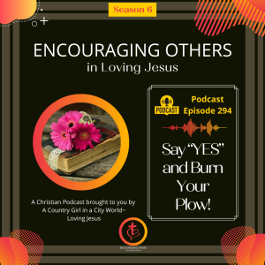 Ep. 294: Say "YES" and Burn Your Plow!