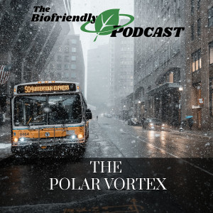 The Polar Vortex