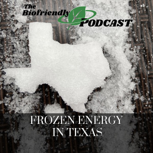Frozen Energy in Texas