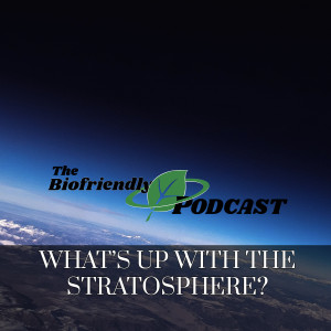 What's Up with the Stratosphere?
