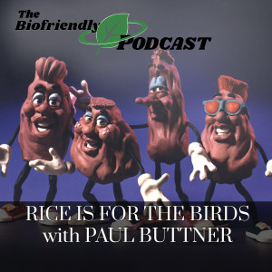 Rice Is For The Birds with Paul Buttner