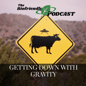 Getting Down With Gravity