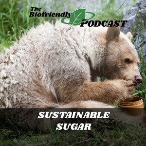 Sustainable Sugar