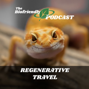 Regenerative Travel