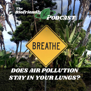 Does Air Pollution Stay in Your Lungs?