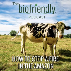 How To Stop A Fire In The Amazon