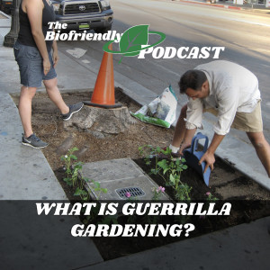 What is Guerrilla Gardening?