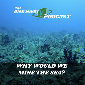 Why Would We Mine the Sea?