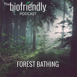 Forest Bathing