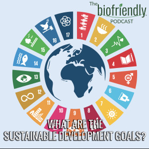 What Are The Sustainable Development Goals?