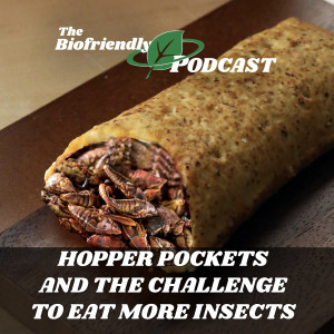 Hopper Pockets and the Challenge To Eat More Insects