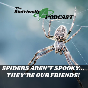 Spiders Aren’t Spooky... They’re Our Friends!