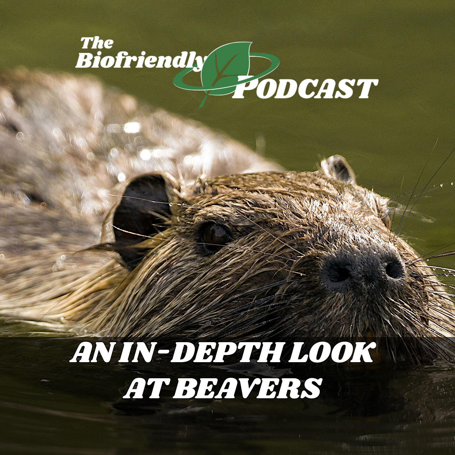 The Biofriendly Podcast