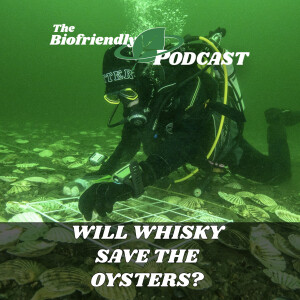 Will Whisky Save the Oysters?