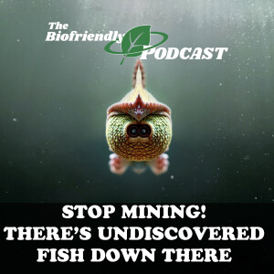 Stop Mining! There’s Undiscovered Fish Down There