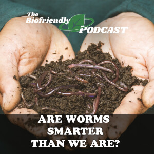 Are Worms Smarter Than We Are?