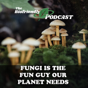 Fungi Is the Fun Guy Our Planet Needs
