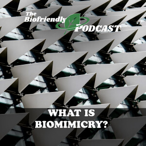 What is Biomimicry?