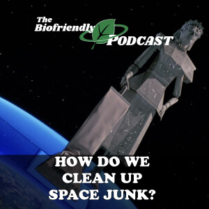 How Do We Clean Up Space Junk?