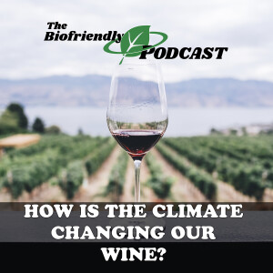 How Is the Climate Changing Our Wine?