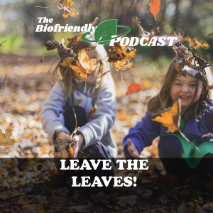 Leave the Leaves!