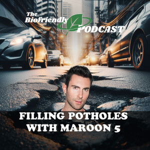 Filling Potholes with Maroon 5