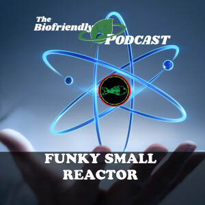 Funky Small Reactor