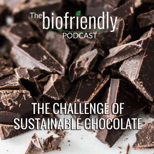 The Challenge of Sustainable Chocolate