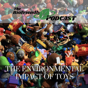 The Environmental Impact of Toys