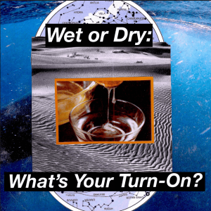 #2.3 Wet or Dry: What's Your Turn-On?
