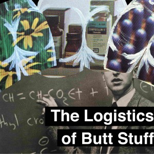 #6 The Logistics of Butt Stuff