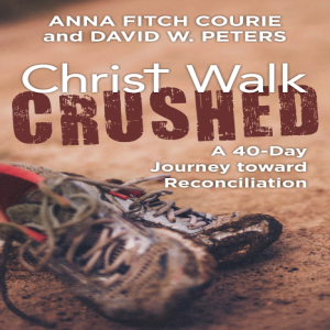 Persistence of Vision Episode 8: David Peters on Christ Walk Crushed