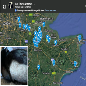 Podcast: Map shows cat shave attacks across Kent as cases continue to rise