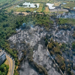 Podcast: Aftermath from devastating wildfires in Kent after hottest day on record