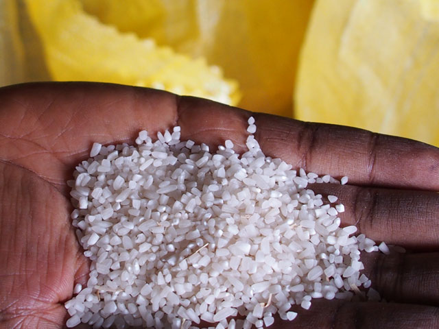 AfricaRice-Cameroon: Central Africa's potential rice granary