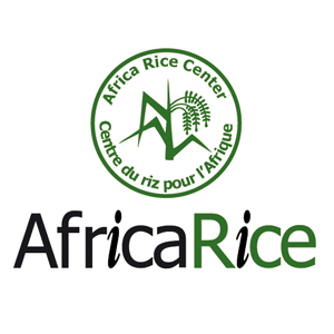 Africa Rice Recipes – WAAKYE - a popular dish from Ghana made with rice and beans