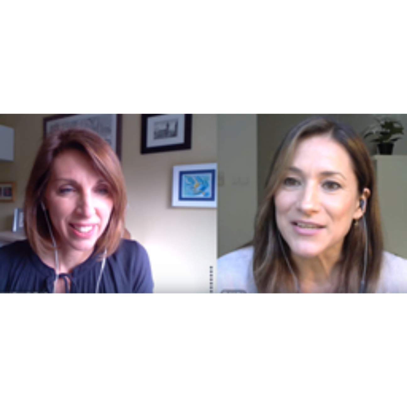 The Dr Louise Newson Podcast
