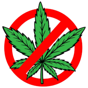 Episode#34 why we should not legalize pot