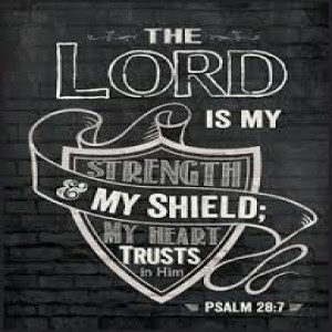 Shielded on All Sides